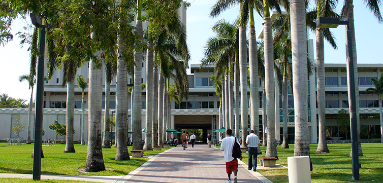 university-of-miami-campus-feat