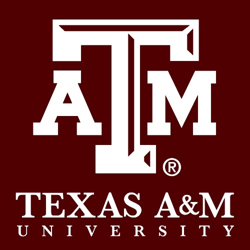 Texas A&m College