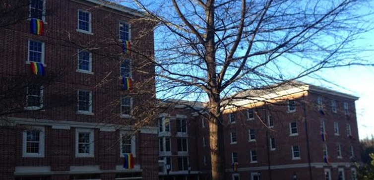 Davidson-rainbow-flags-feat