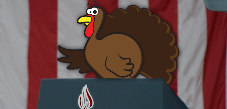 Thanksgiving turkey