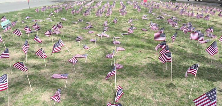 Flags-run-over-pro-life-display-feat