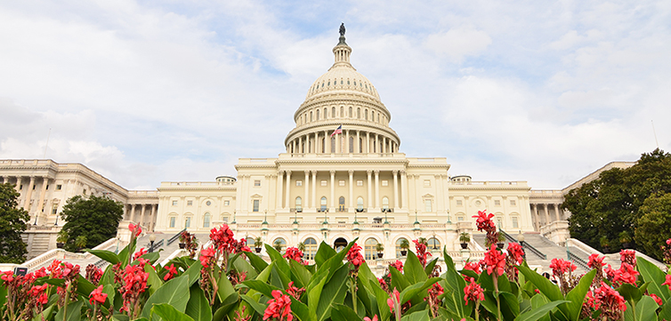 capitol-building-flowers-shutterstock-feat