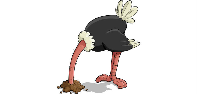 OstrichCartoon-feat