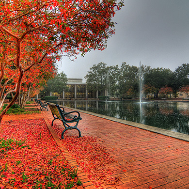 Colleges Rush to Violate Free Speech, Due Process in Response to Speech Controversies