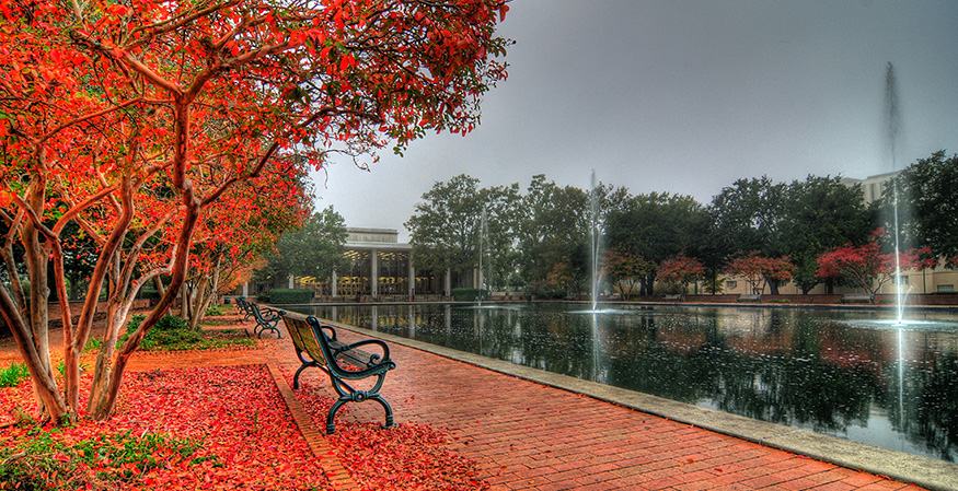 Colleges Rush to Violate Free Speech, Due Process in Response to Speech Controversies