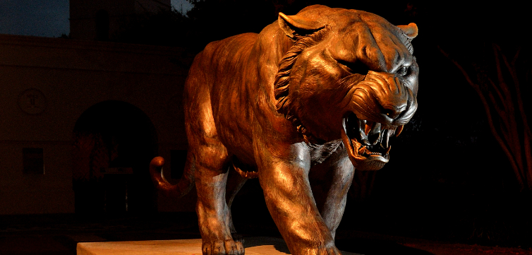 lsu tiger feature