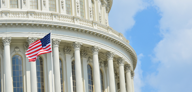 U.S. Capitol Flag Waving feat