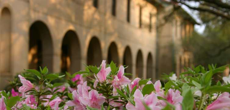 LSU quad azaleas - feat