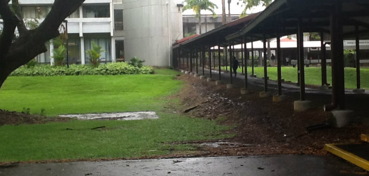 hawaii hilo free speech zone fsz feat