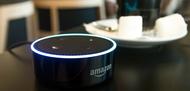 AmazonEchoFEAT