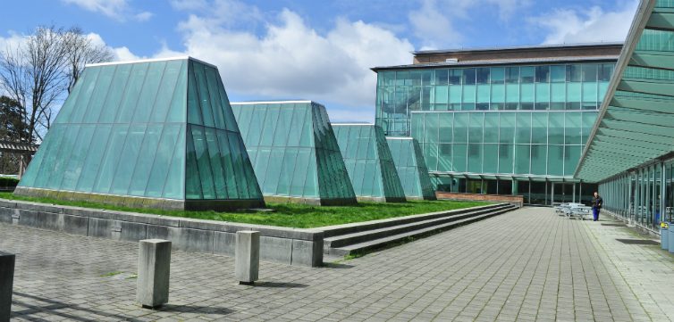 University of Washington School of Law professors release letter