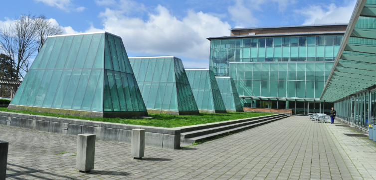 University_of_Washington_Law_School_-JoeMabel_Shutterstock