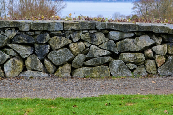 Collin College stonewalls inquiries into legislators’ ‘contacts’ over professor’s tweets about Vice President Pence