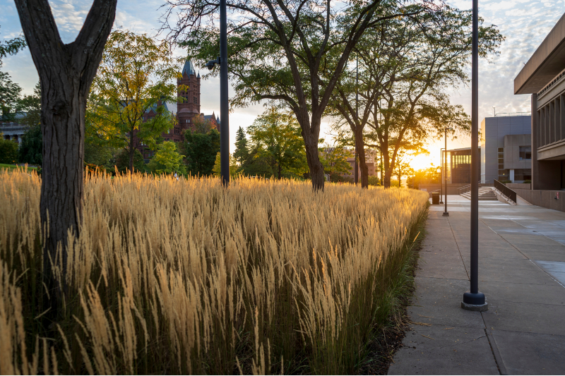 Syracuse University campus shot